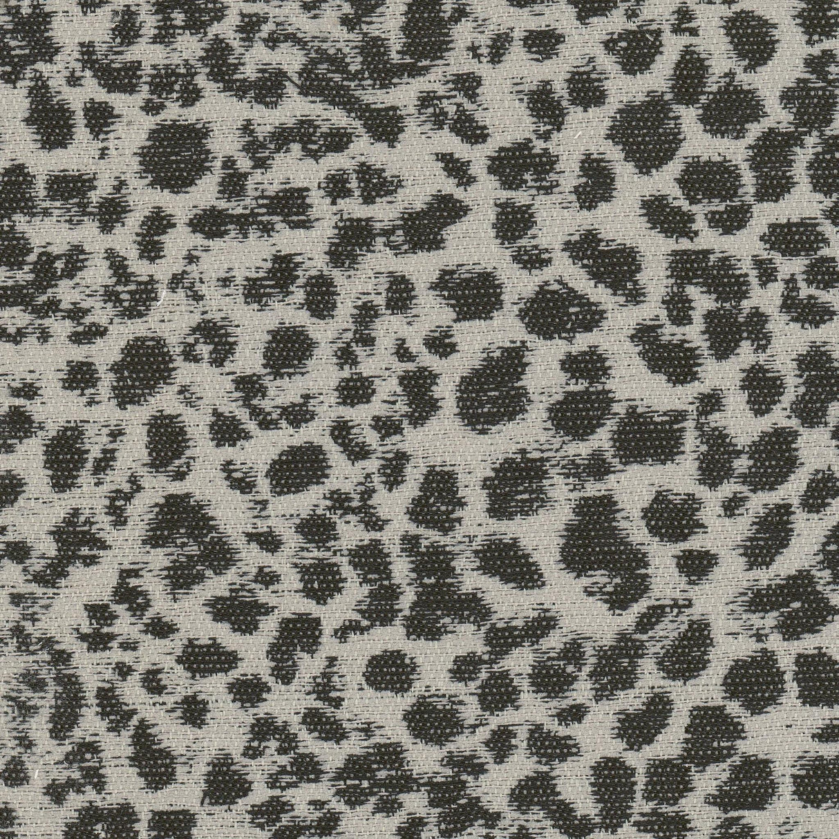 Stout DALMATION BLACK/CAMEL Fabric