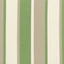 Stout DANBURY GRASS Fabric