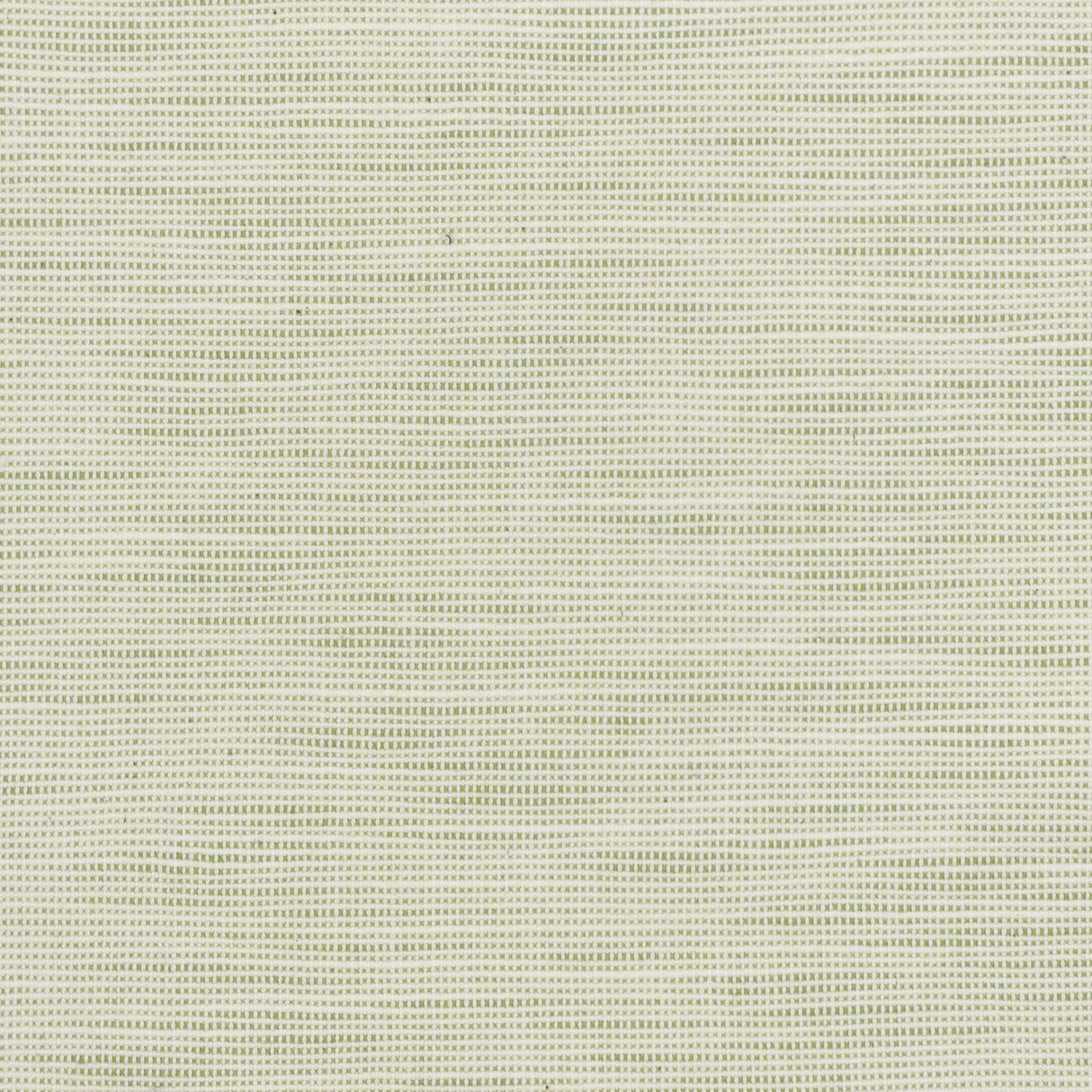 Stout DISBELIEVE PEAR Fabric