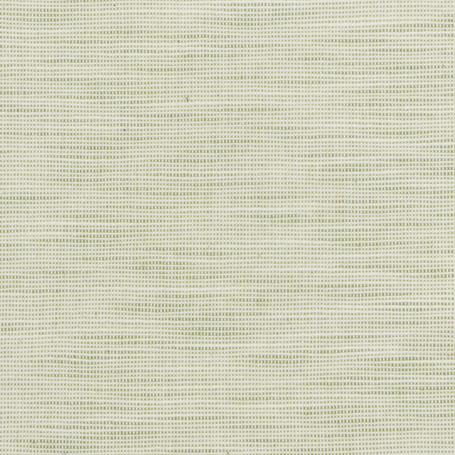 Stout DISBELIEVE PEAR Fabric
