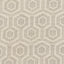Stout HUSBAND MUSHROOM Fabric