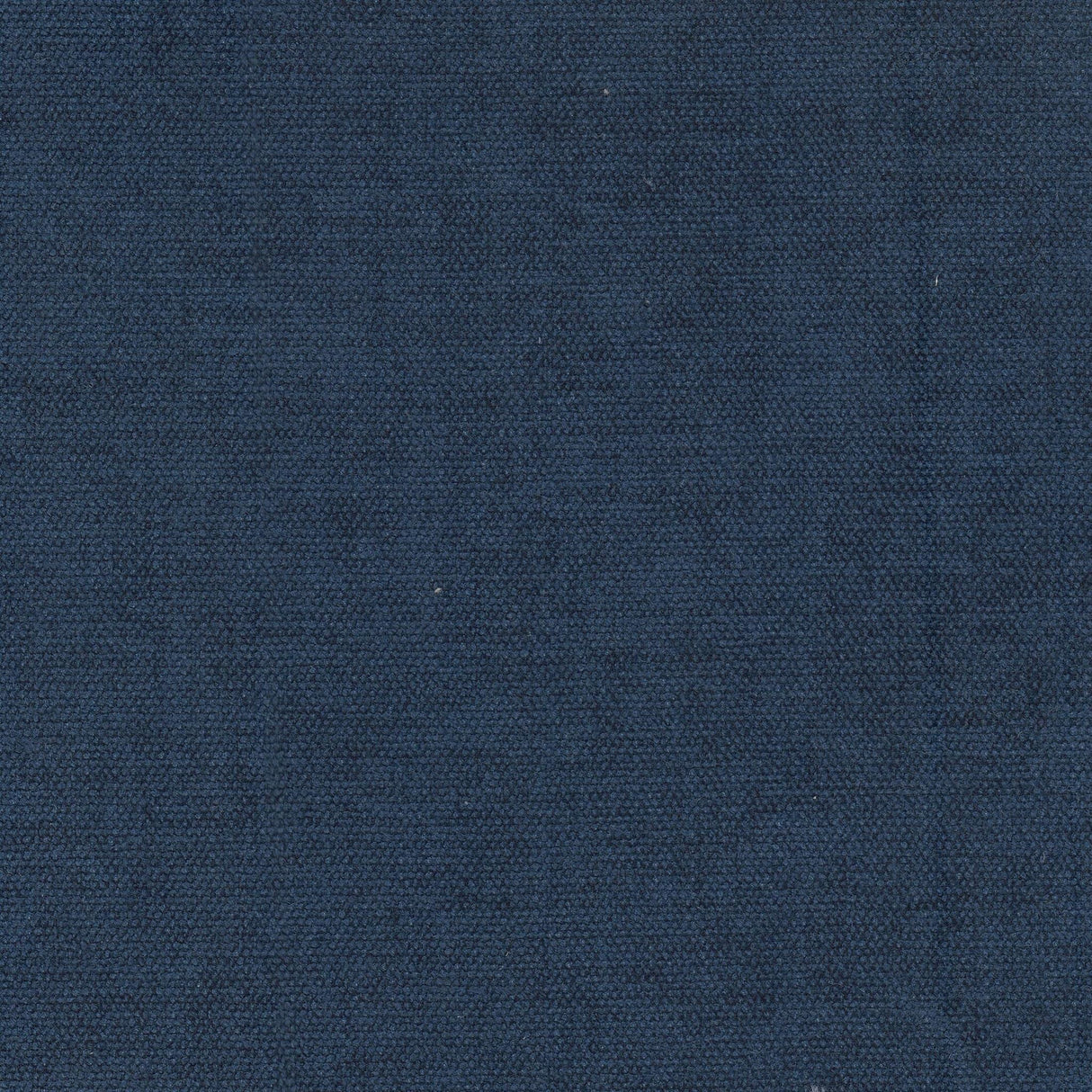 Stout INTERACT COBALT Fabric