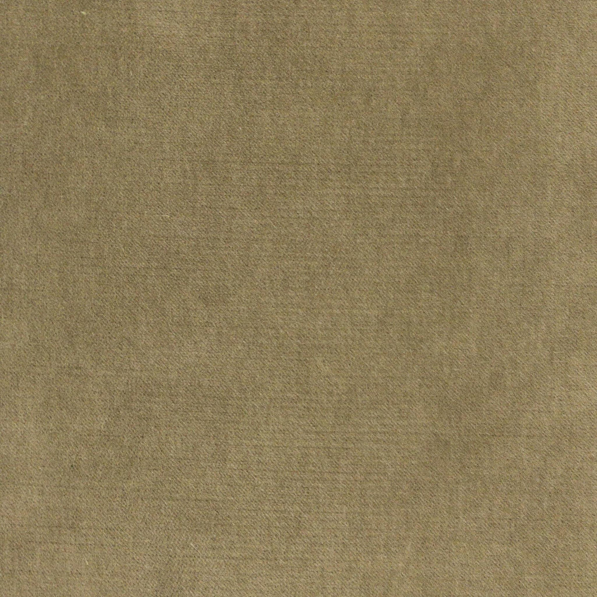 Stout LEEBROOK OLIVE Fabric