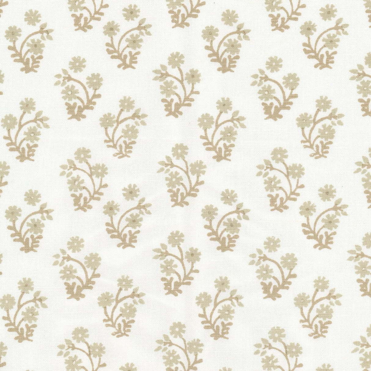 Stout LEMANS TOAST Fabric