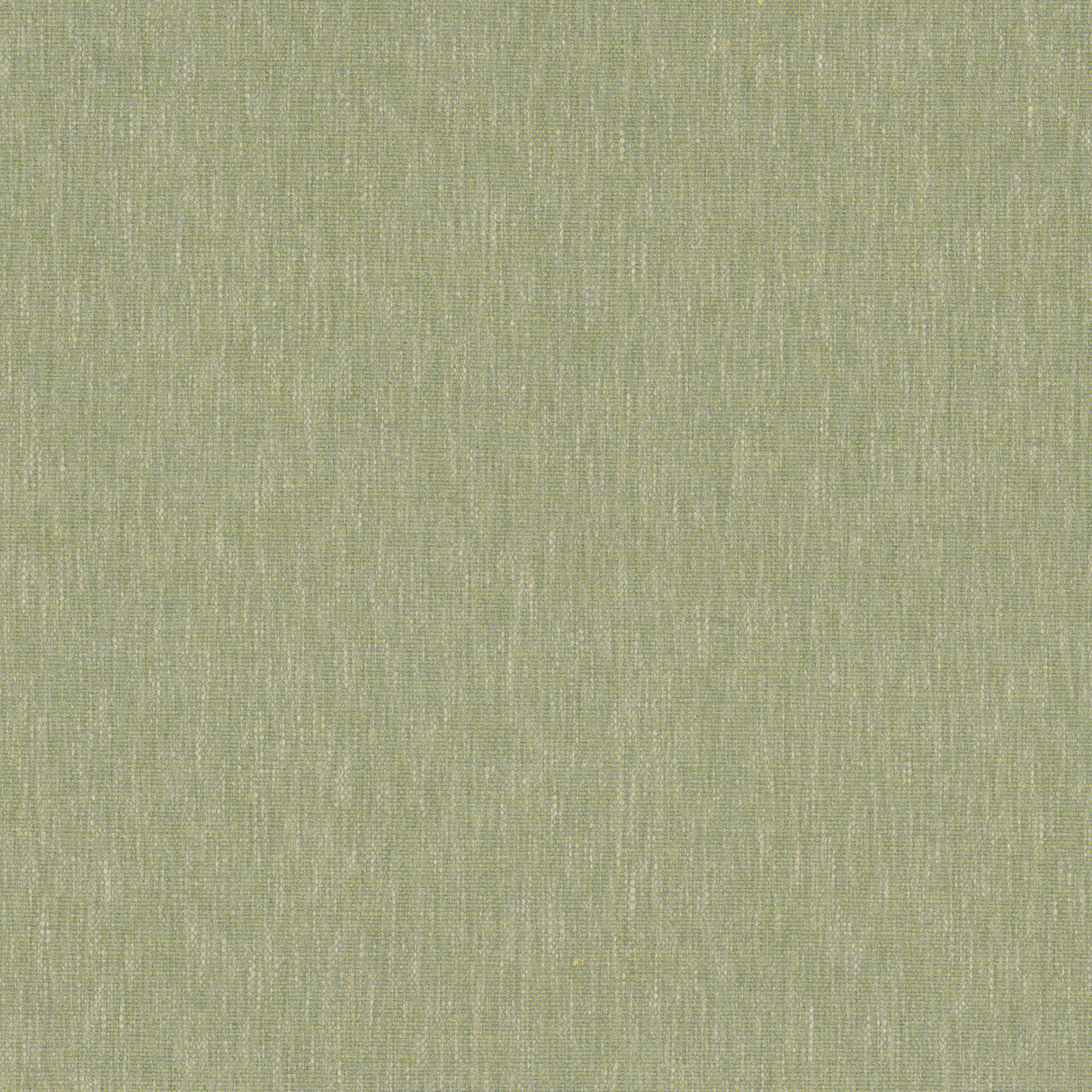 Stout LOMBARDY CITRINE Fabric