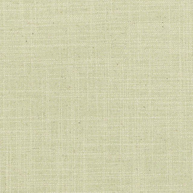 Stout NEVADA CELERY Fabric