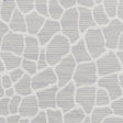 Stout ODYSSEY DOVE Fabric