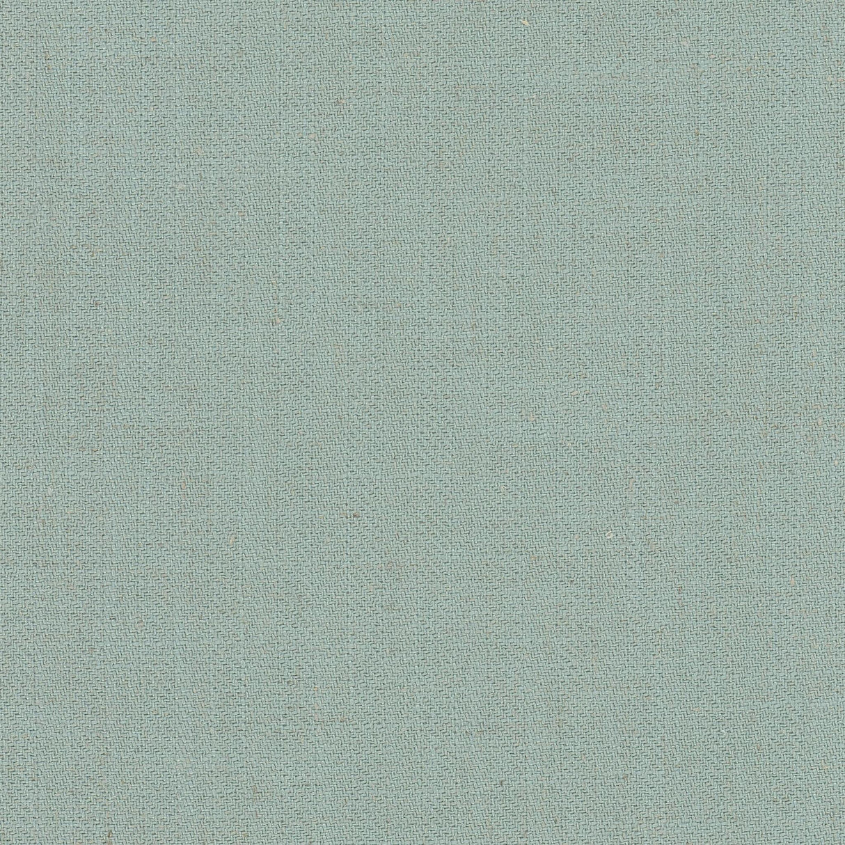 Stout PIRATE ROBINSEGG Fabric