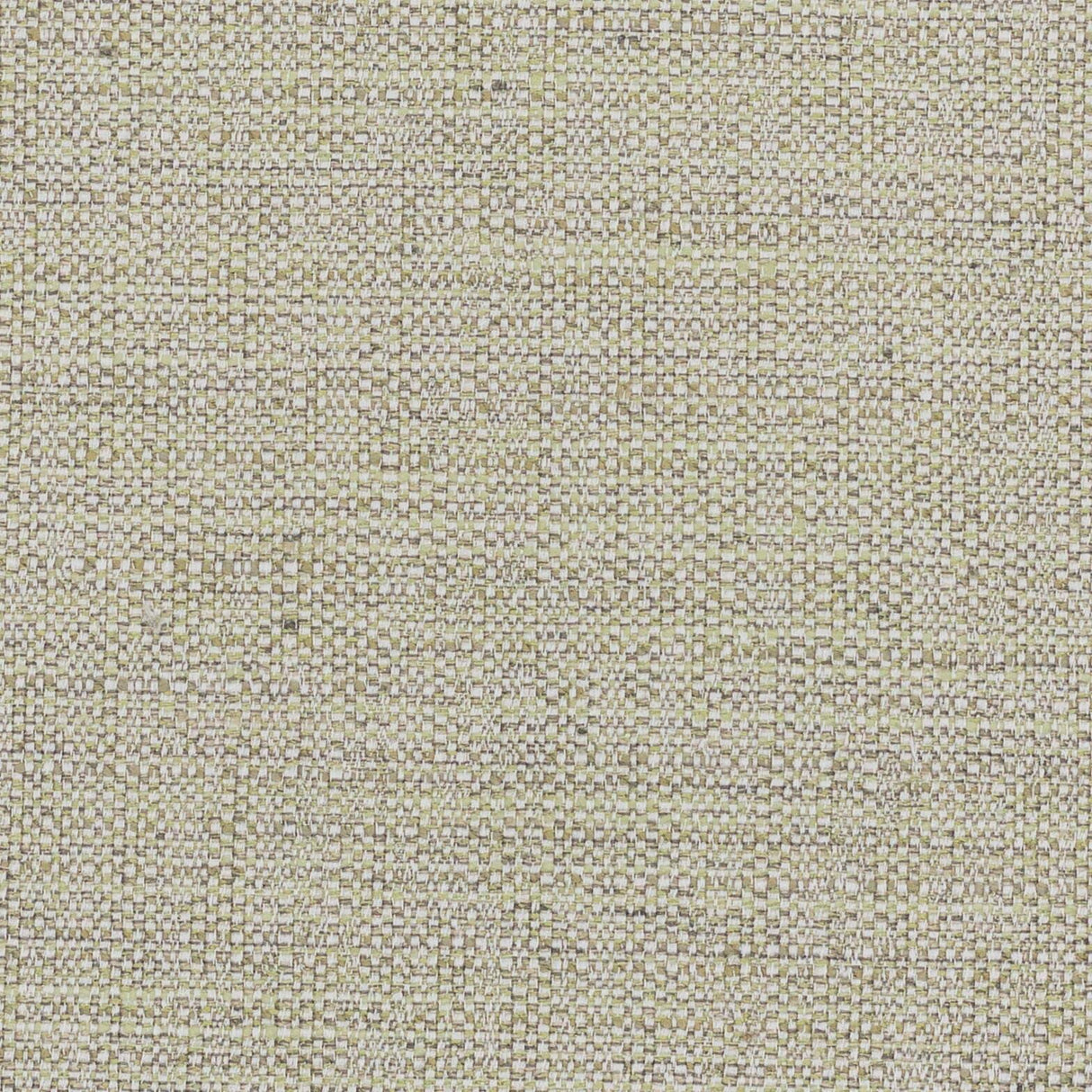 Stout PRIVILEGE ALOE Fabric