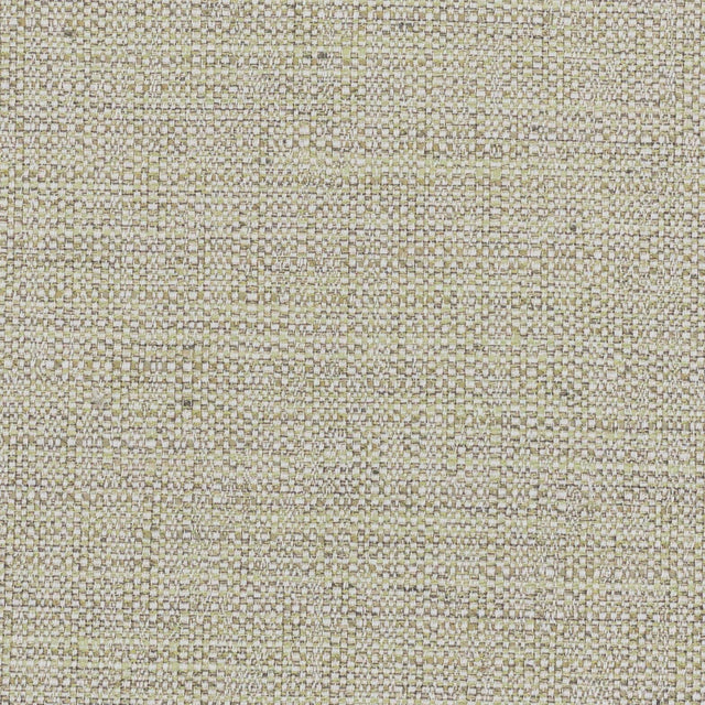 Stout PRIVILEGE ALOE Fabric