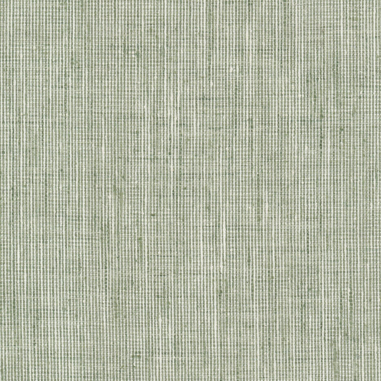 Stout REMBRANDT SAGE Fabric