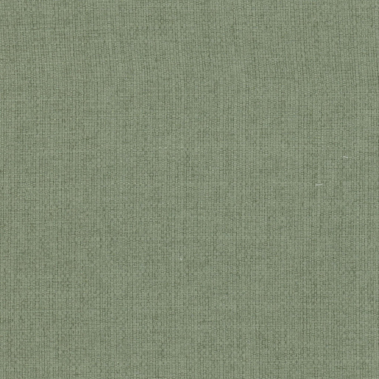 Stout RIVALRY CYPRESS Fabric