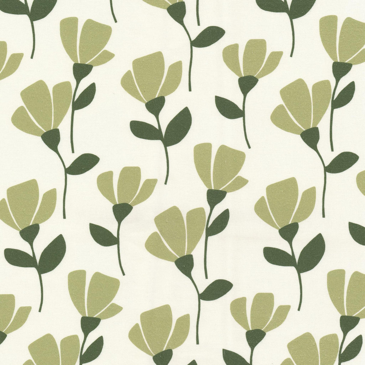 Stout RUDOLF BASIL Fabric