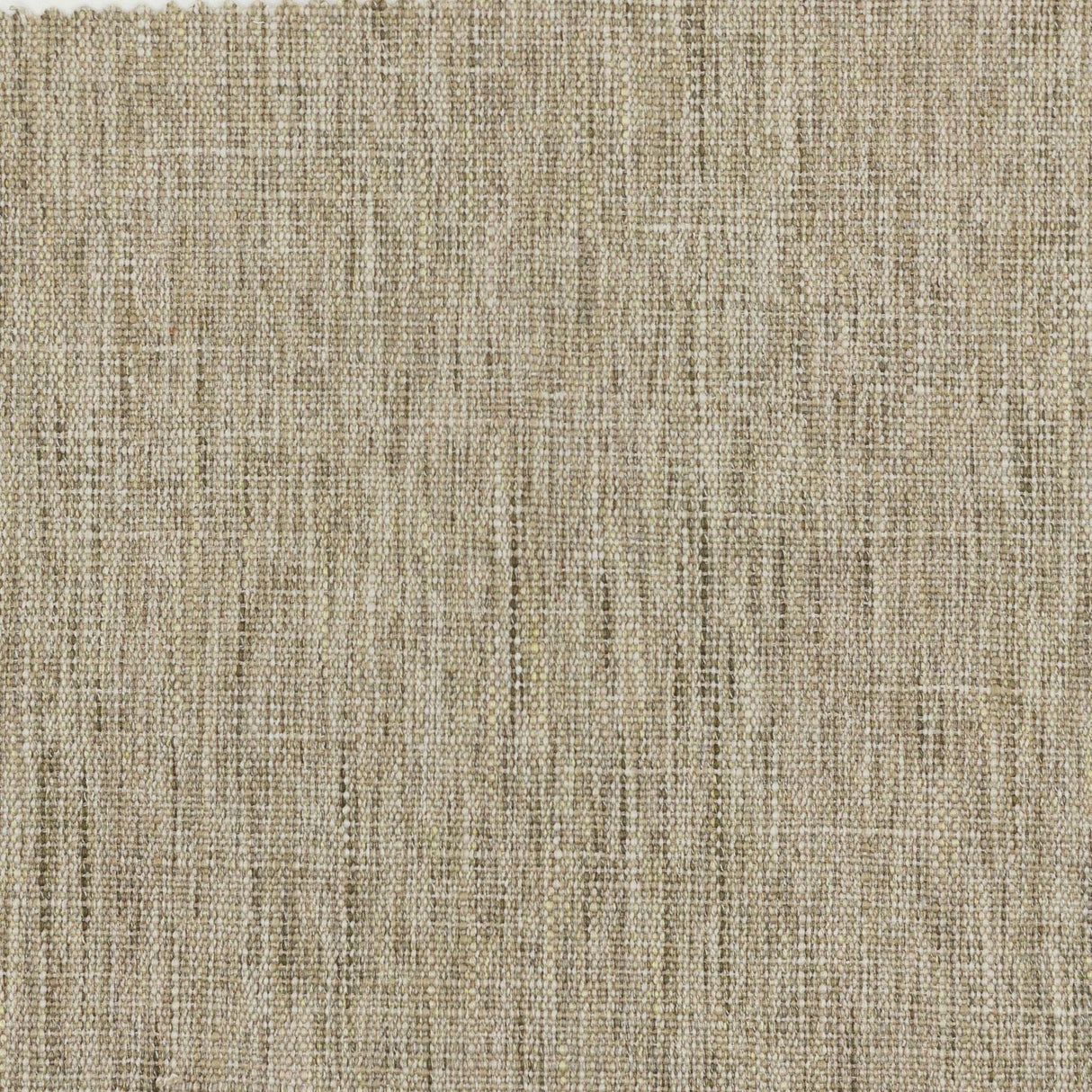 Stout STOMP MUSHROOM Fabric