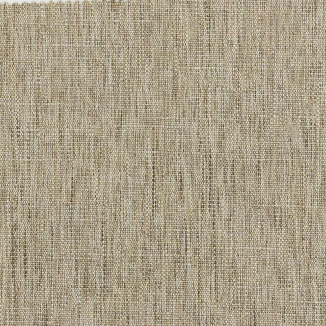 Stout STOMP MUSHROOM Fabric