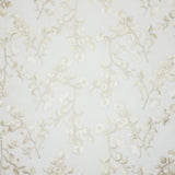 Stout TEDRIC CHAMPAGNE Fabric