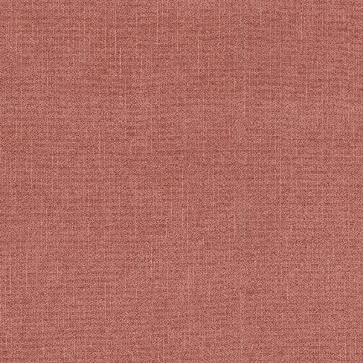 Stout THICKET PAPRIKA Fabric