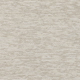 Stout YOUNG CAMEL Fabric