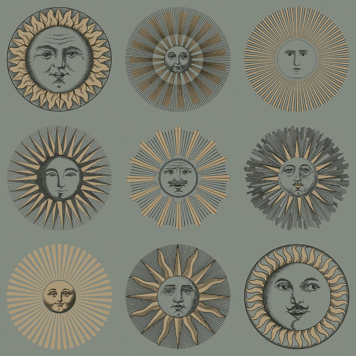Cole & Son SOLI SAGE & ROSE GOLD Wallpaper