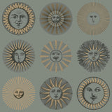 Cole & Son SOLI SAGE & ROSE GOLD Wallpaper