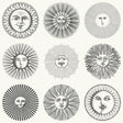 Cole & Son SOLI BLACK & WHITE Wallpaper