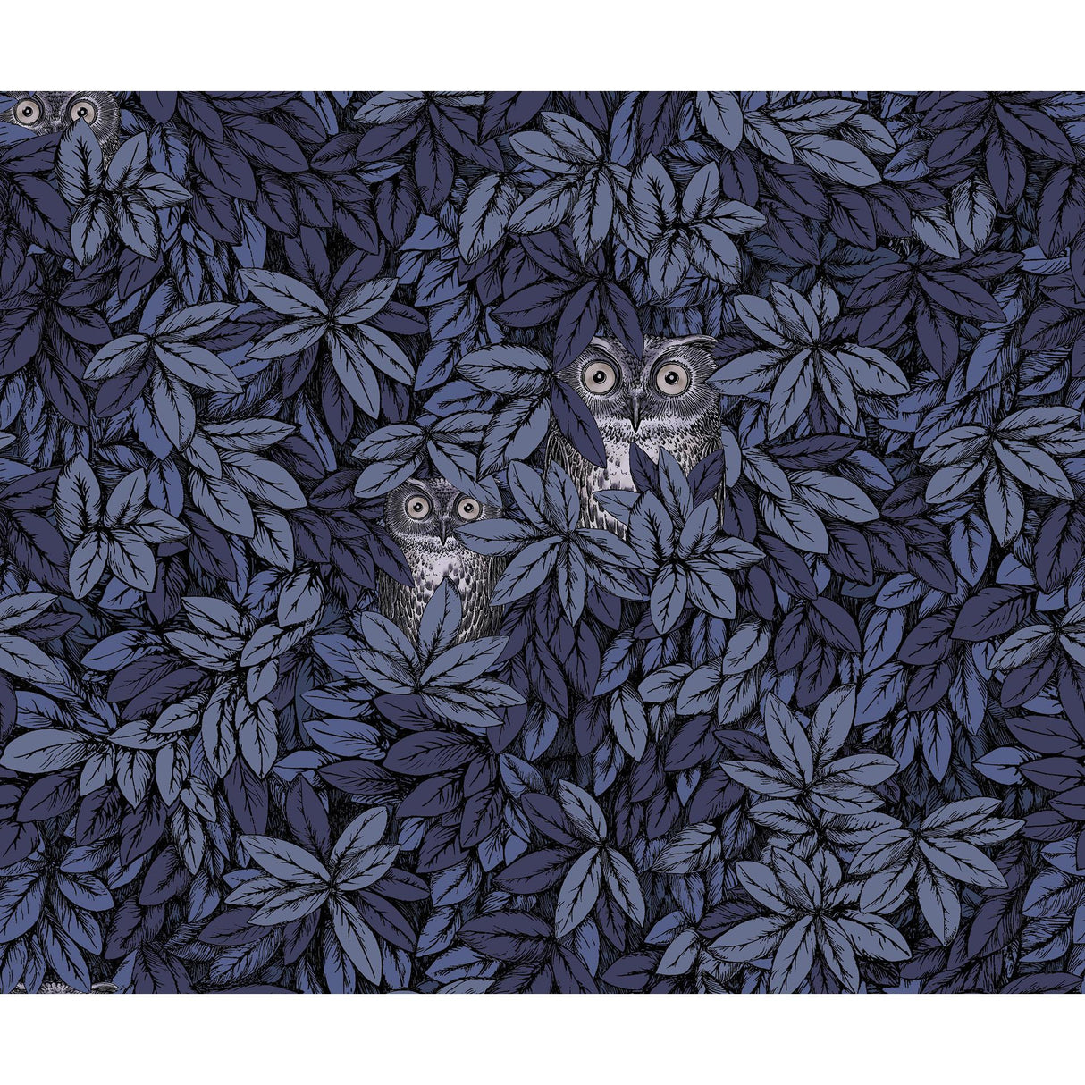 Cole & Son FOGLIE E CIVETTE MIDNIGHT Wallpaper