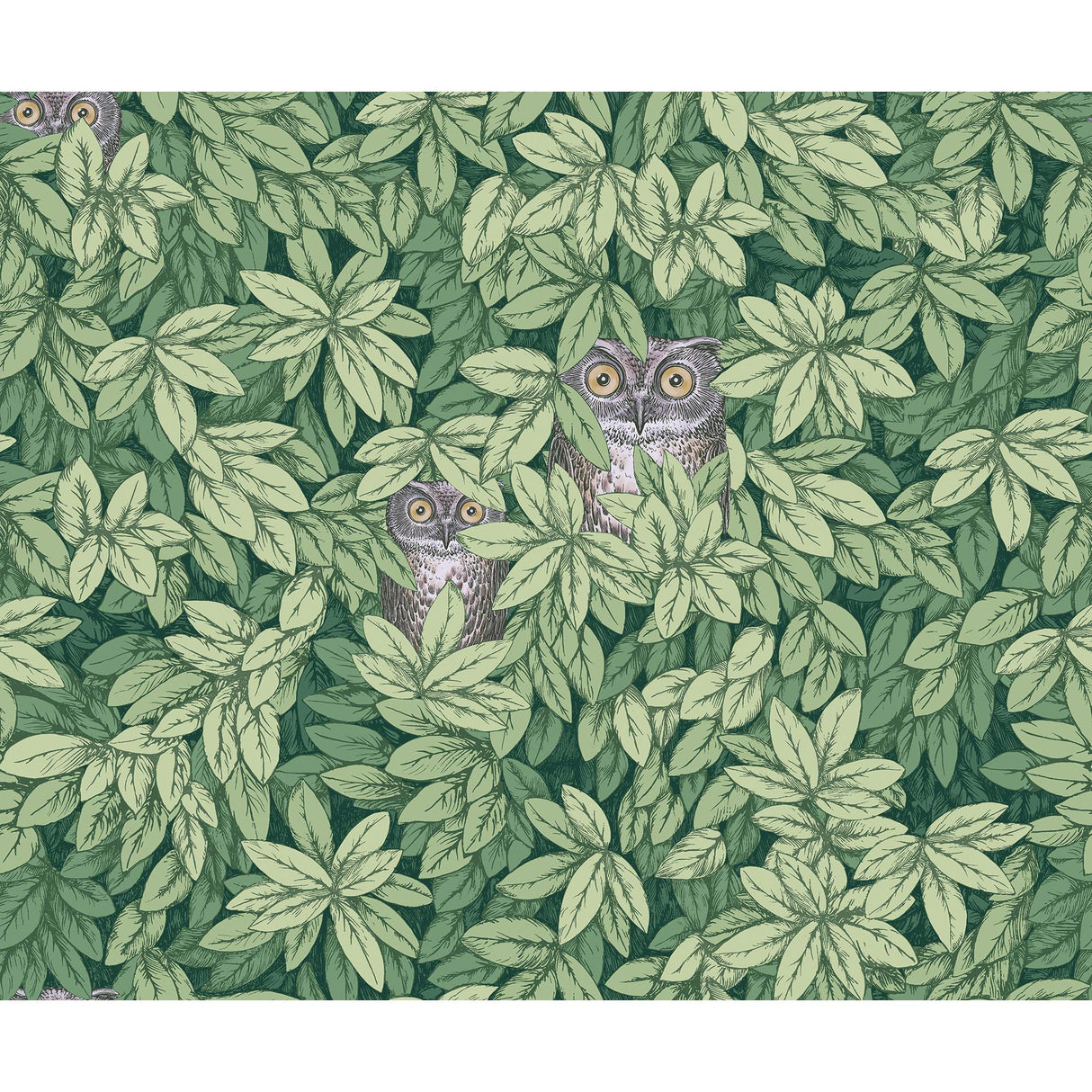 Cole & Son FOGLIE E CIVETTE GREEN Wallpaper