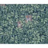 Cole & Son FOGLIE E CIVETTE VIRIDIAN Wallpaper
