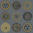 Cole & Son SOLI MIDNIGHT & SOFT GOLD Wallpaper