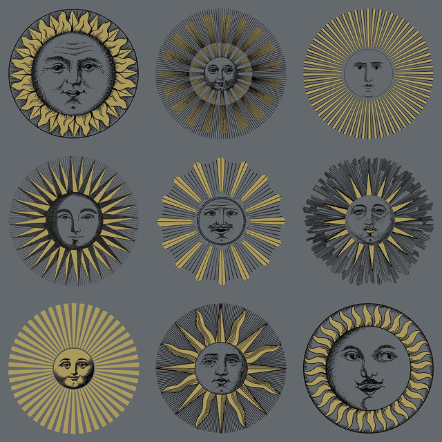 Cole & Son SOLI MIDNIGHT & SOFT GOLD Wallpaper