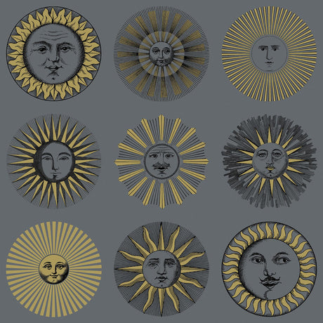 Cole & Son SOLI MIDNIGHT & SOFT GOLD Wallpaper