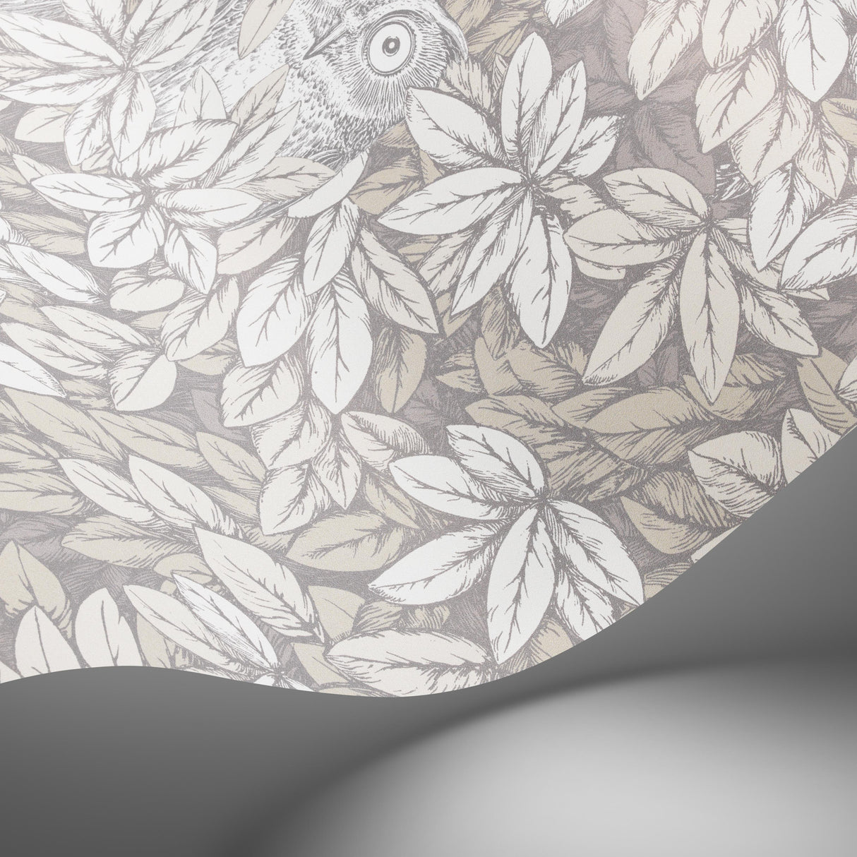 Cole & Son FOGLIE E CIVETTE WHITE Wallpaper