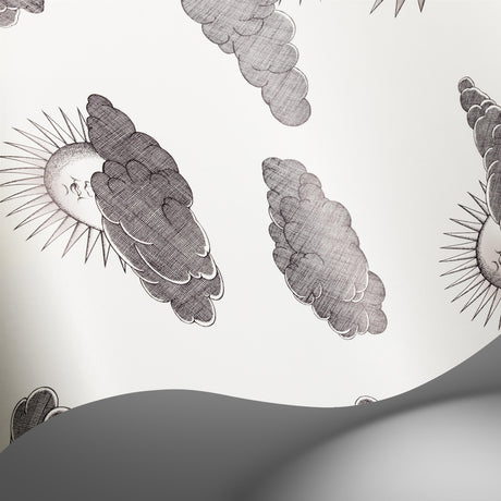 Cole & Son SOLI E NUVOLE BLACK WHITE Wallpaper