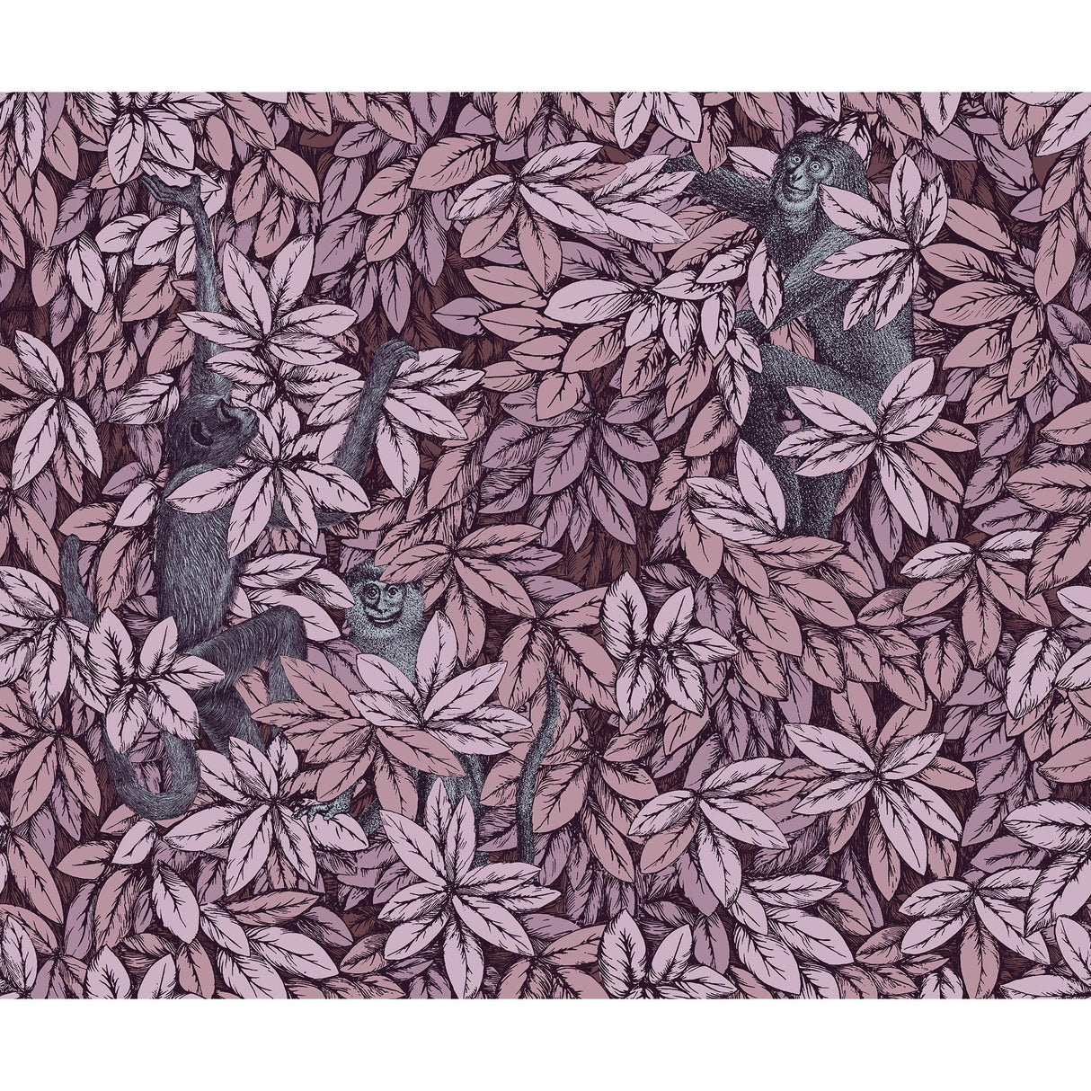Cole & Son FOGLIE E SCIMMIE BLUSH Wallpaper