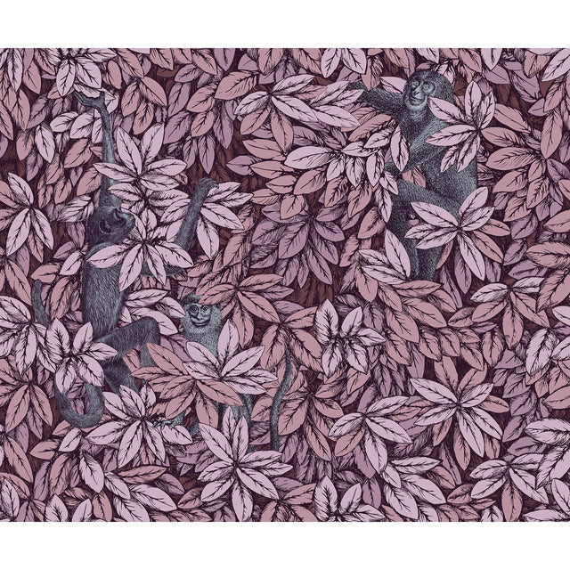 Cole & Son FOGLIE E SCIMMIE BLUSH Wallpaper