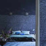 Cole & Son VISTA MEDITERRANEA MIDNIGHT Wallpaper