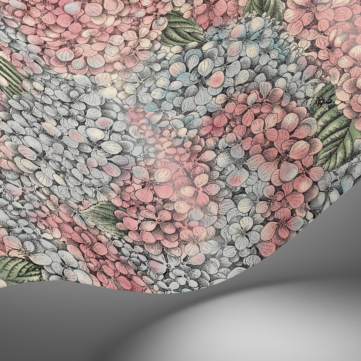 Cole & Son ORTENSIA PINK & BLUE Wallpaper