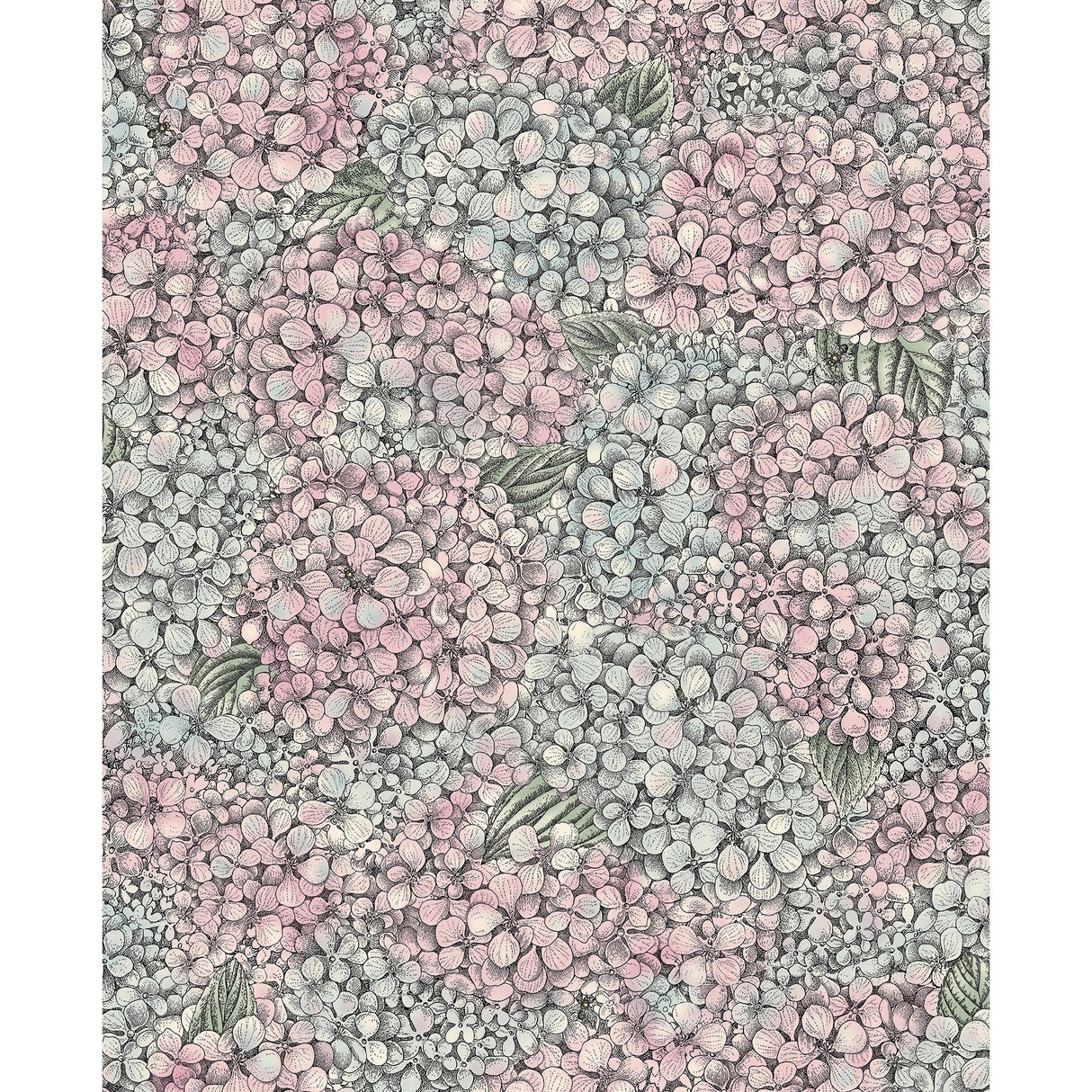 Cole & Son ORTENSIA PINK & BLUE Wallpaper