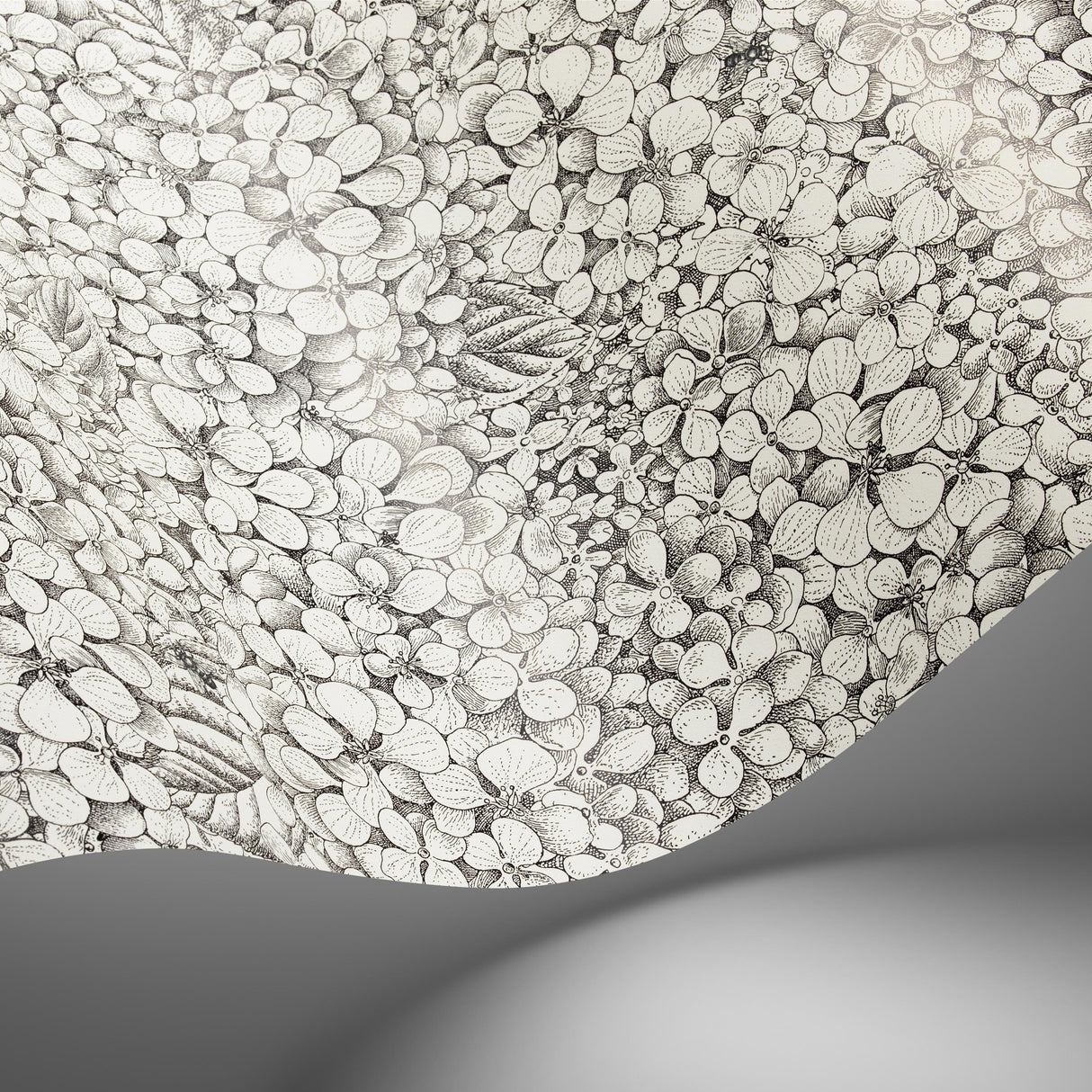 Cole & Son ORTENSIA BLACK & WHITE Wallpaper