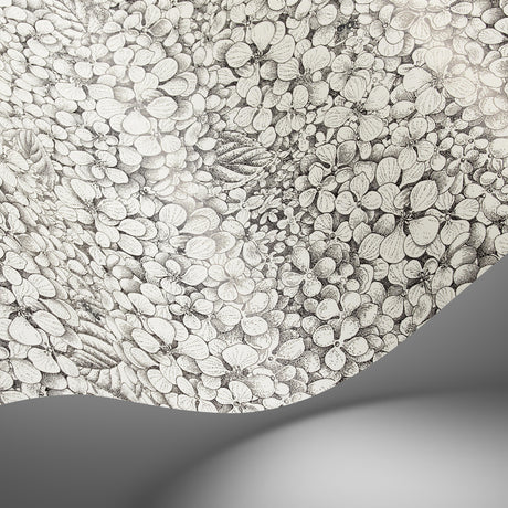 Cole & Son ORTENSIA BLACK & WHITE Wallpaper