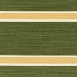 Lee Jofa HORIZON STRIPE BLUSHDKGREEN Fabric