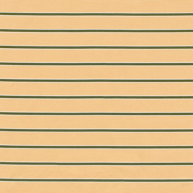 Lee Jofa HORIZON STRIPE DKGREENBLUSH Fabric