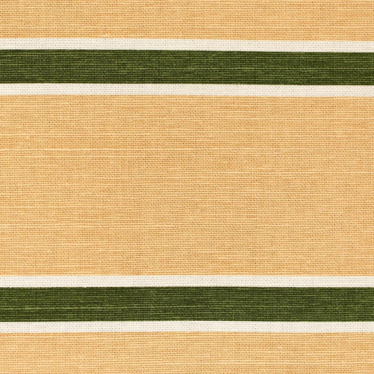 Lee Jofa HORIZON STRIPE DKGREENBLUSH Fabric