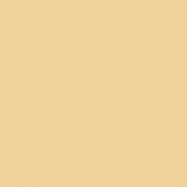 Lee Jofa NUOVA VITA LINEN SAND Upholstery Fabric