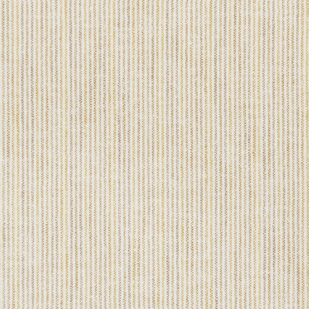 Kravet KRAVET BASICS 37263-416 Fabric