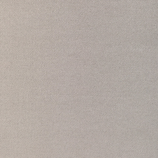 Donghia FORMAL AFFAIR PLATINUM Upholstery Fabric