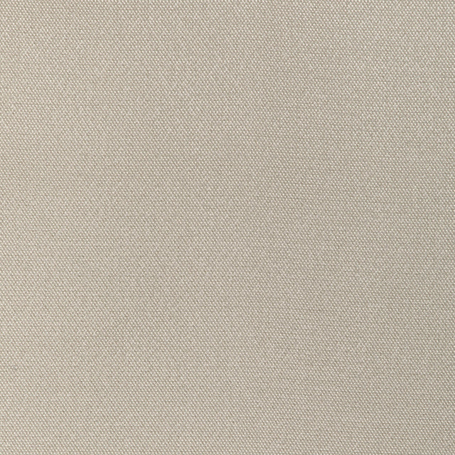 Donghia FORMAL AFFAIR CHAMPAGNE Upholstery Fabric