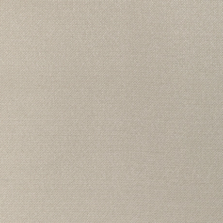 Donghia FORMAL AFFAIR CHAMPAGNE Upholstery Fabric