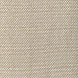 Donghia FORMAL AFFAIR CHAMPAGNE Upholstery Fabric
