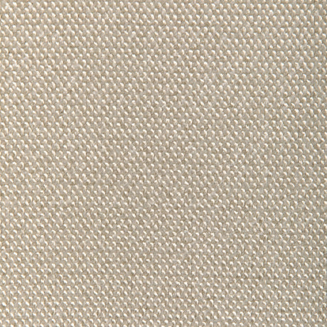 Donghia FORMAL AFFAIR CHAMPAGNE Upholstery Fabric